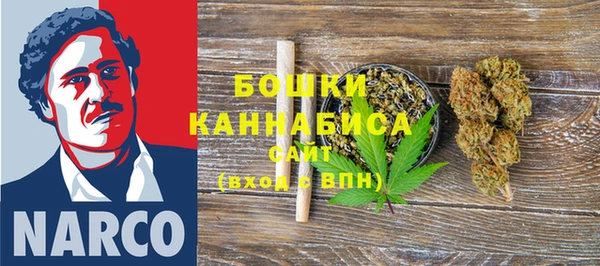 гашик Нея