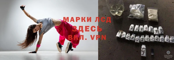трава Новозыбков