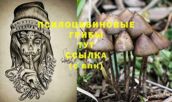 гашик Нея