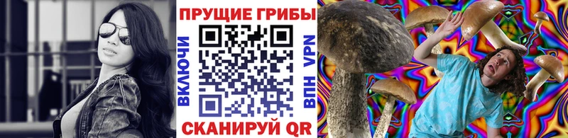 цены   Пестово  Галлюциногенные грибы мухоморы 